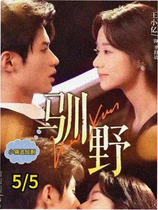 古装传奇类短剧题材图鉴封面示意